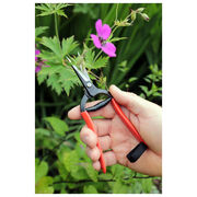Garden snips